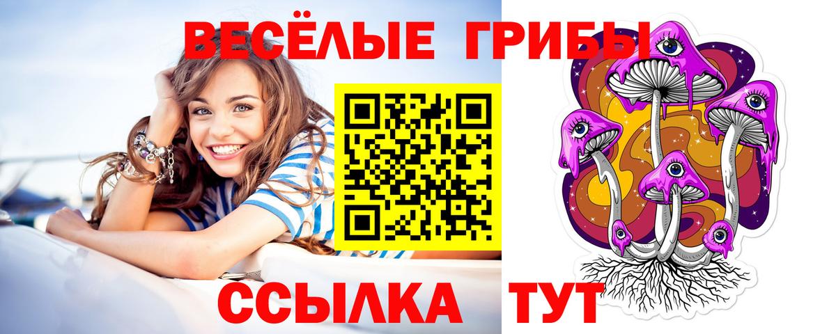 Галлюциногенные грибы прущие грибы  Вход с VPN  Заинск 